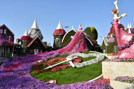 Dubai Miracle Garden in the UAEの写真素材