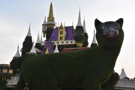 Dubai Miracle Garden in the UAEの写真素材