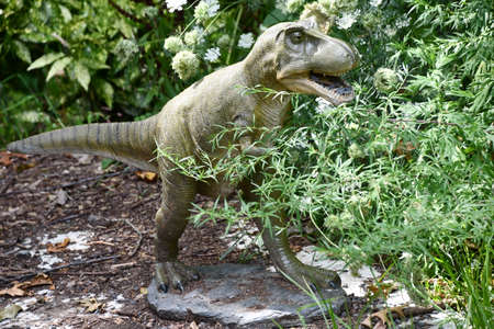 Dinosaur Garden at Lasdon Park and Arboretum in Katonah, New Yorkの写真素材