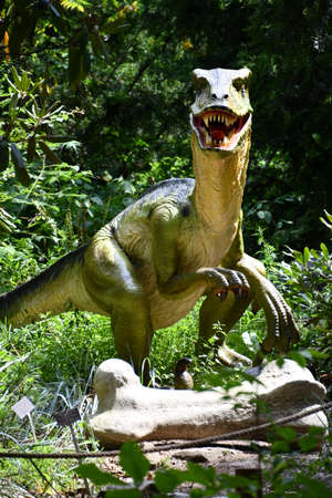 Dinosaur Garden at Lasdon Park and Arboretum in Katonah, New Yorkの写真素材