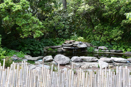 Lasdon Park and Arboretum in Katonah, New Yorkの写真素材