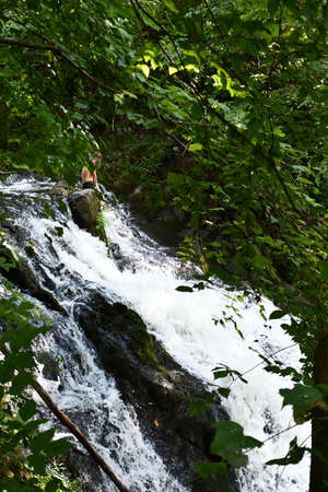 Zabriskies Waterfall in Annandale-On-Hudson, New Yorkの写真素材