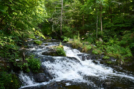 Zabriskies Waterfall in Annandale-On-Hudson, New Yorkの写真素材