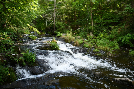 Zabriskies Waterfall in Annandale-On-Hudson, New Yorkの写真素材
