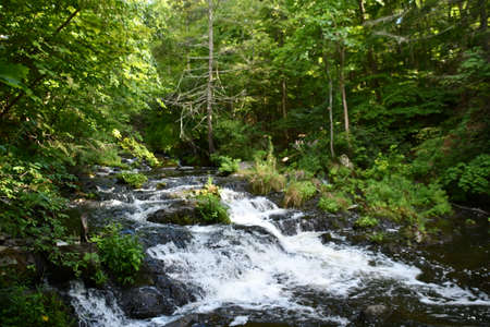 Zabriskies Waterfall in Annandale-On-Hudson, New Yorkの写真素材