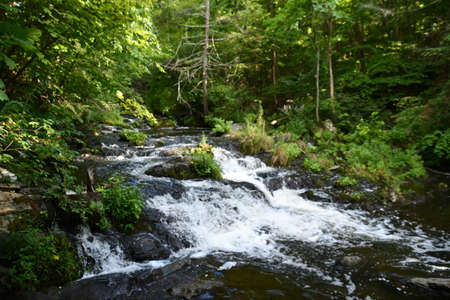 Zabriskies Waterfall in Annandale-On-Hudson, New Yorkの写真素材