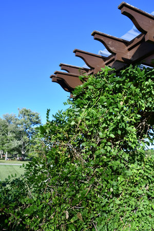 Robibero Winery in New Paltz, New Yorkの写真素材