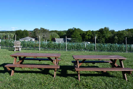 Robibero Winery in New Paltz, New Yorkの写真素材