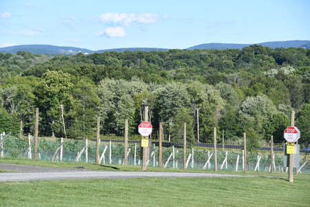 Robibero Winery in New Paltz, New Yorkの写真素材
