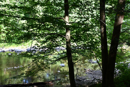 Hudden Valley Preserve in Washington, Connecticutの写真素材