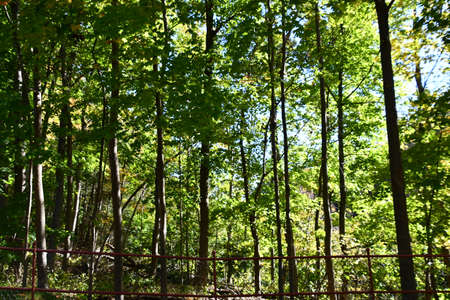 Lovers Leap State Park in New Milford, Connecticutの写真素材