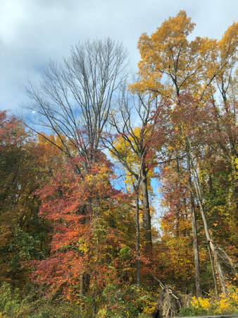 Fall Colors in Connecticuの写真素材