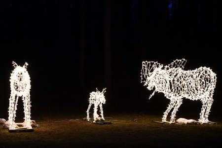 2020 Festival of Silver Lights at Hubbard Park in Meriden, Connecticutの写真素材