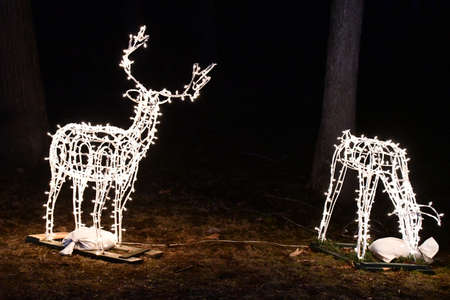 2020 Festival of Silver Lights at Hubbard Park in Meriden, Connecticutの写真素材