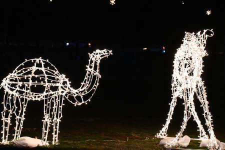 2020 Festival of Silver Lights at Hubbard Park in Meriden, Connecticutの写真素材