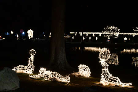2020 Festival of Silver Lights at Hubbard Park in Meriden, Connecticutの写真素材