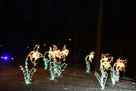 2020 Festival of Silver Lights at Hubbard Park in Meriden, Connecticutの写真素材