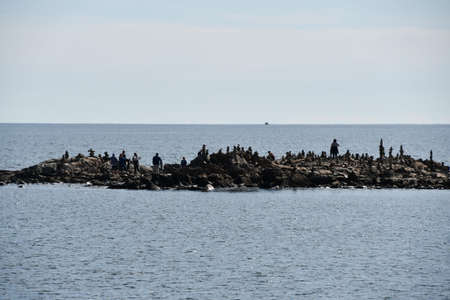 Rock Beach at Odiorne Point State Park in Rye, New Hampshireの写真素材
