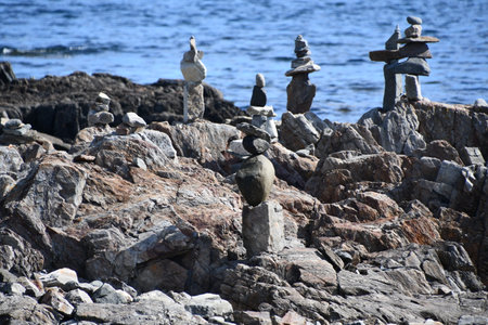 Rock Beach at Odiorne Point State Park in Rye, New Hampshireの写真素材