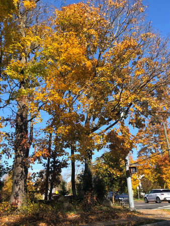 Fall Colors in Connecticut, New England, USAの写真素材