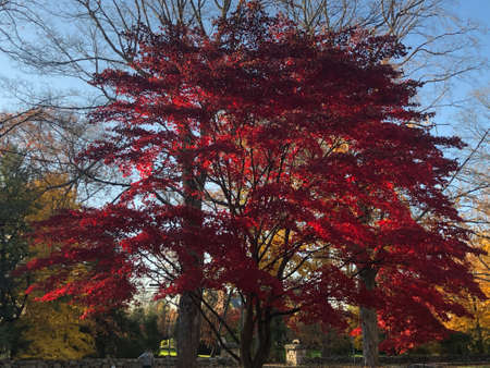 Fall Colors in Connecticut, New England, USAの写真素材