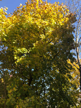 Fall Colors in Connecticut, New England, USAの写真素材