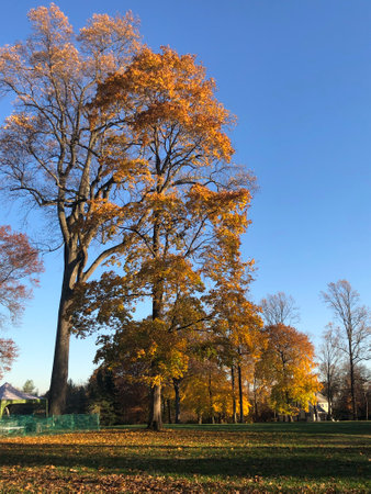 Fall Colors in Connecticut, New England, USAの写真素材
