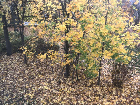 Fall Colors in Connecticut, New England, USAの写真素材
