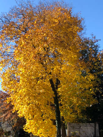 Fall Colors in Connecticut, New England, USAの写真素材