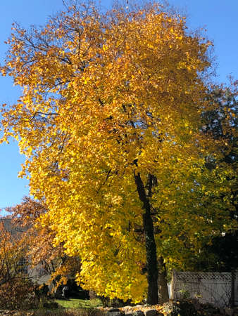 Fall Colors in Connecticut, New England, USAの写真素材