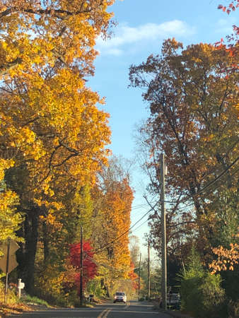 Fall Colors in Connecticut, New England, USAの写真素材