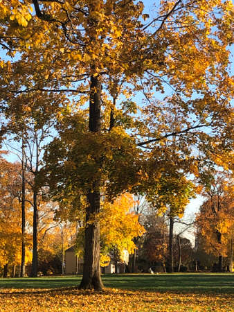 Fall Colors in Connecticut, New England, USAの写真素材