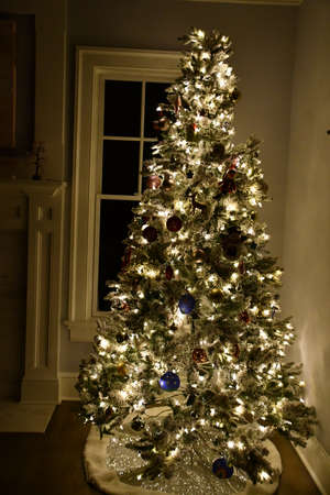 A Beautiful Tall Christmas Tree at Homeの写真素材