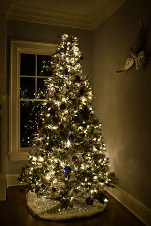 A Beautiful Tall Christmas Tree at Homeの写真素材