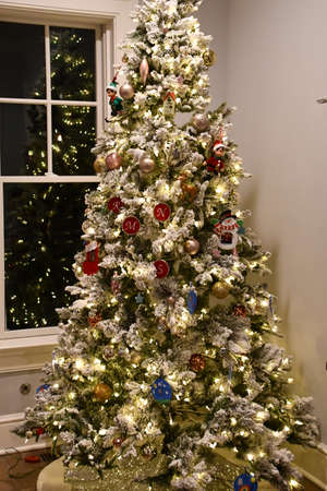 A Beautiful Tall Christmas Tree at Homeの写真素材
