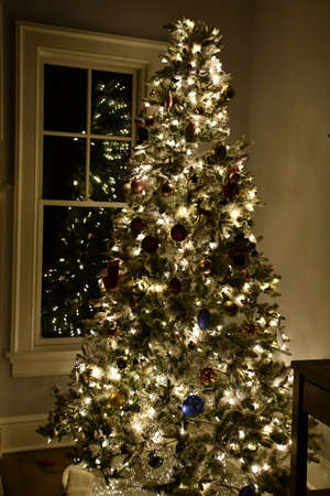 A Beautiful Tall Christmas Tree at Homeの写真素材