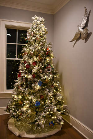 A Beautiful Tall Christmas Tree at Homeの写真素材