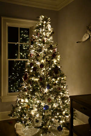 A Beautiful Tall Christmas Tree at Homeの写真素材