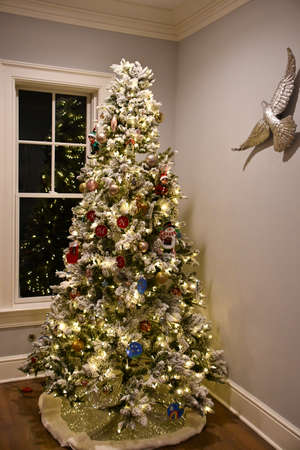 A Beautiful Tall Christmas Tree at Homeの写真素材