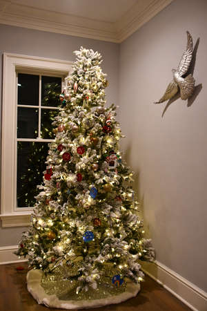 A Beautiful Tall Christmas Tree at Homeの写真素材