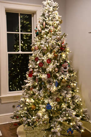 A Beautiful Tall Christmas Tree at Homeの写真素材