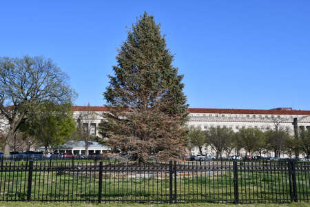 Around the city in Washington DCの写真素材