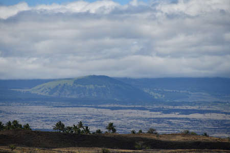 Driving on Kohala Mountain Road at Hawi on the Big Island in Hawaiiの写真素材