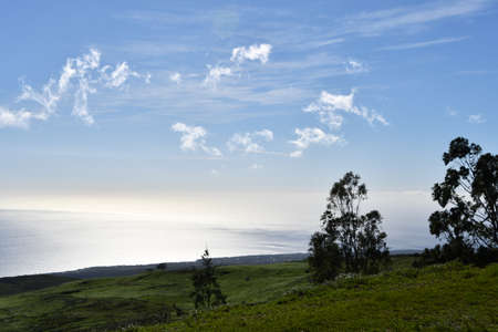 Driving on Kohala Mountain Road at Hawi on the Big Island in Hawaiiの写真素材