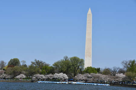 Washington Monument in Washington, DCの写真素材
