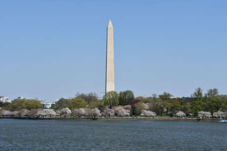 Washington Monument in Washington, DCの写真素材
