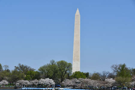 Washington Monument in Washington, DCの写真素材