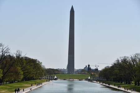 Washington Monument in Washington DCの写真素材