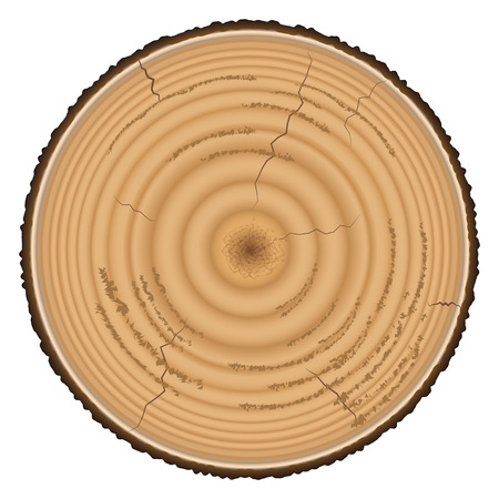 Lumber wood isolated on white background.のイラスト素材