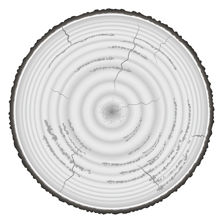 Lumber wood grayscale isolated on white background.のイラスト素材